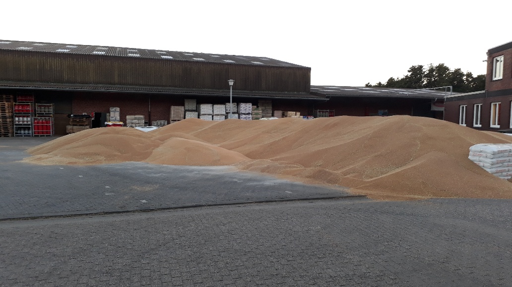 newsimages/99-Ernte 6.jpg